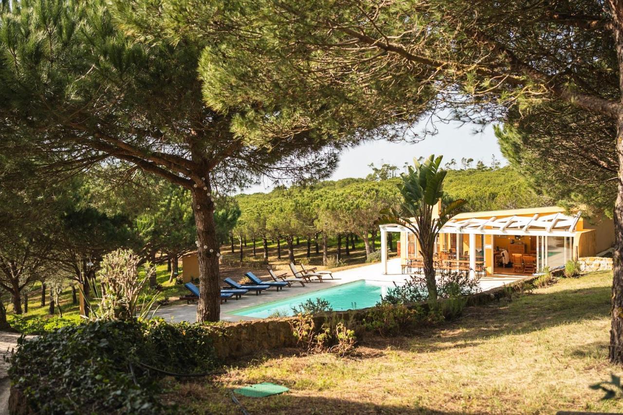 Quinta Raposeiros Lägenhet Santo Isidoro Exteriör bild