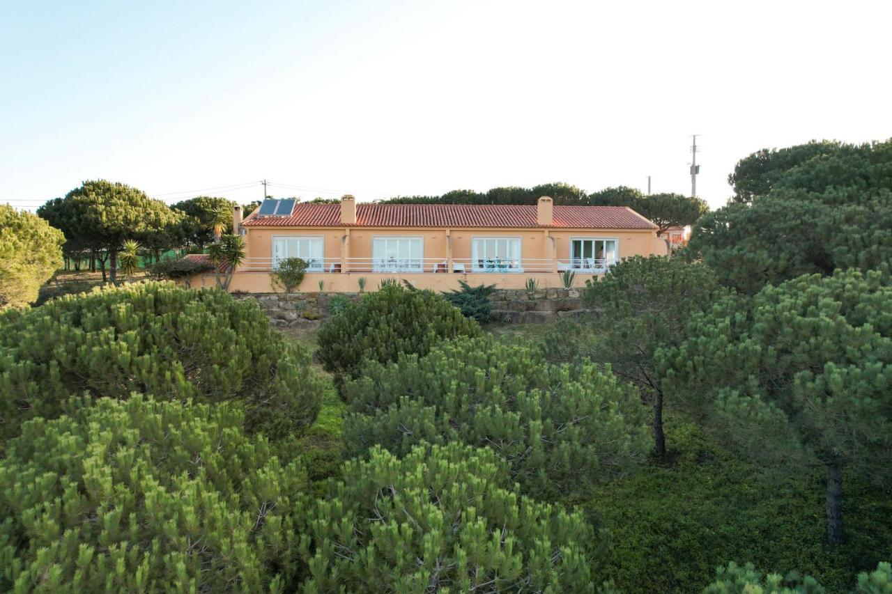 Quinta Raposeiros Lägenhet Santo Isidoro Exteriör bild