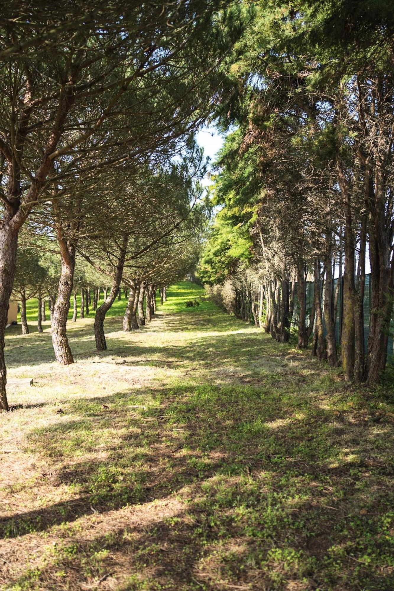 Quinta Raposeiros Lägenhet Santo Isidoro Exteriör bild