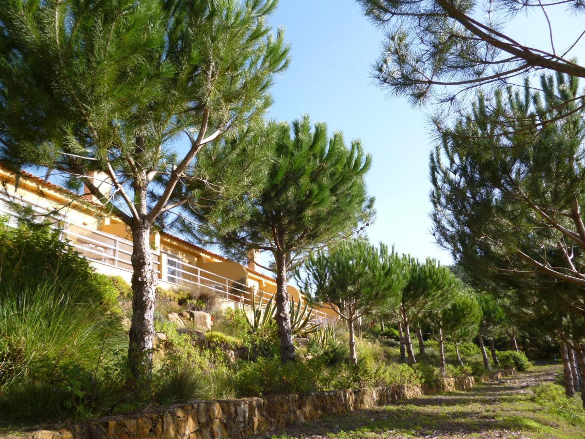 Quinta Raposeiros Lägenhet Santo Isidoro Exteriör bild