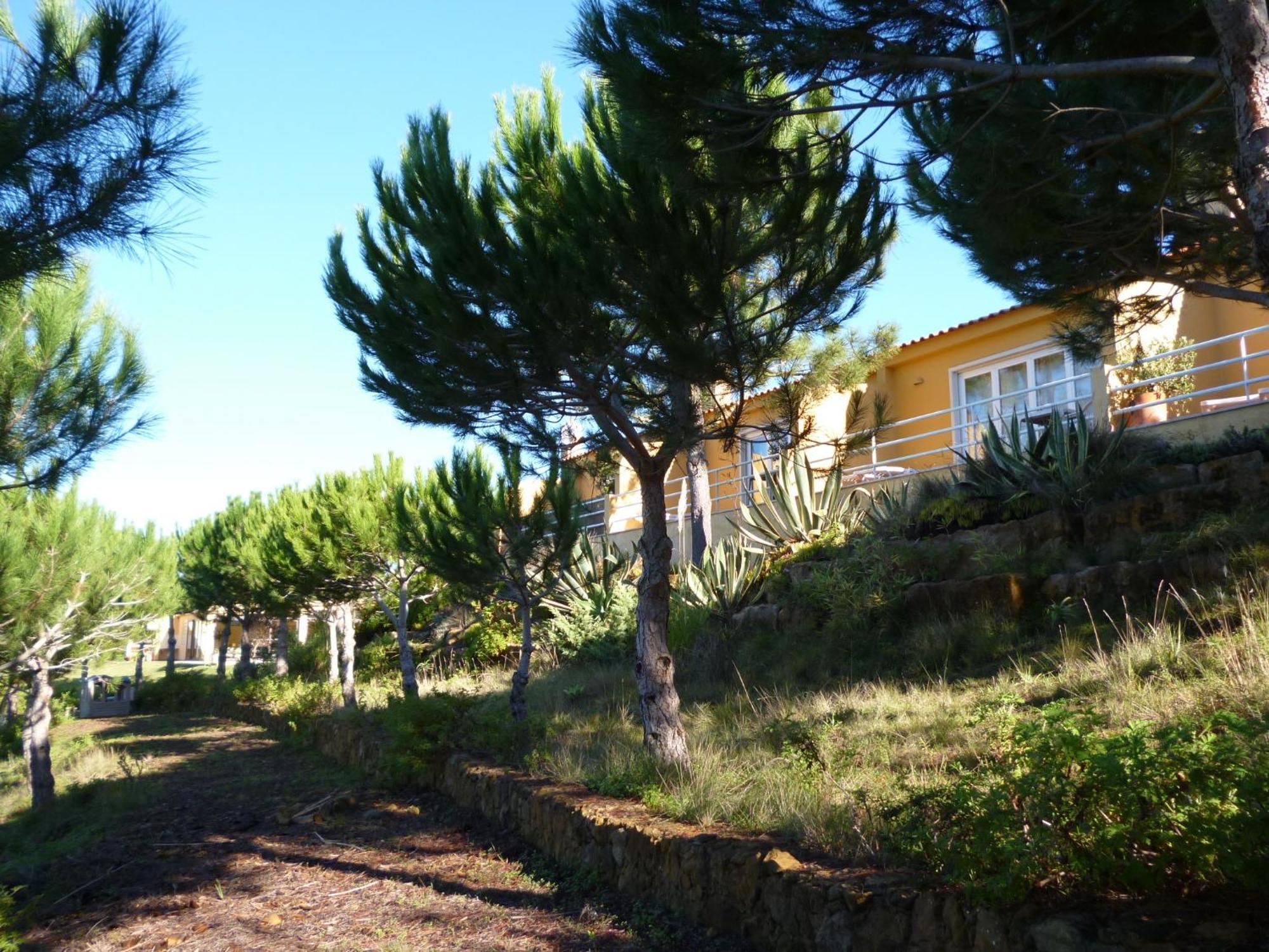 Quinta Raposeiros Lägenhet Santo Isidoro Exteriör bild