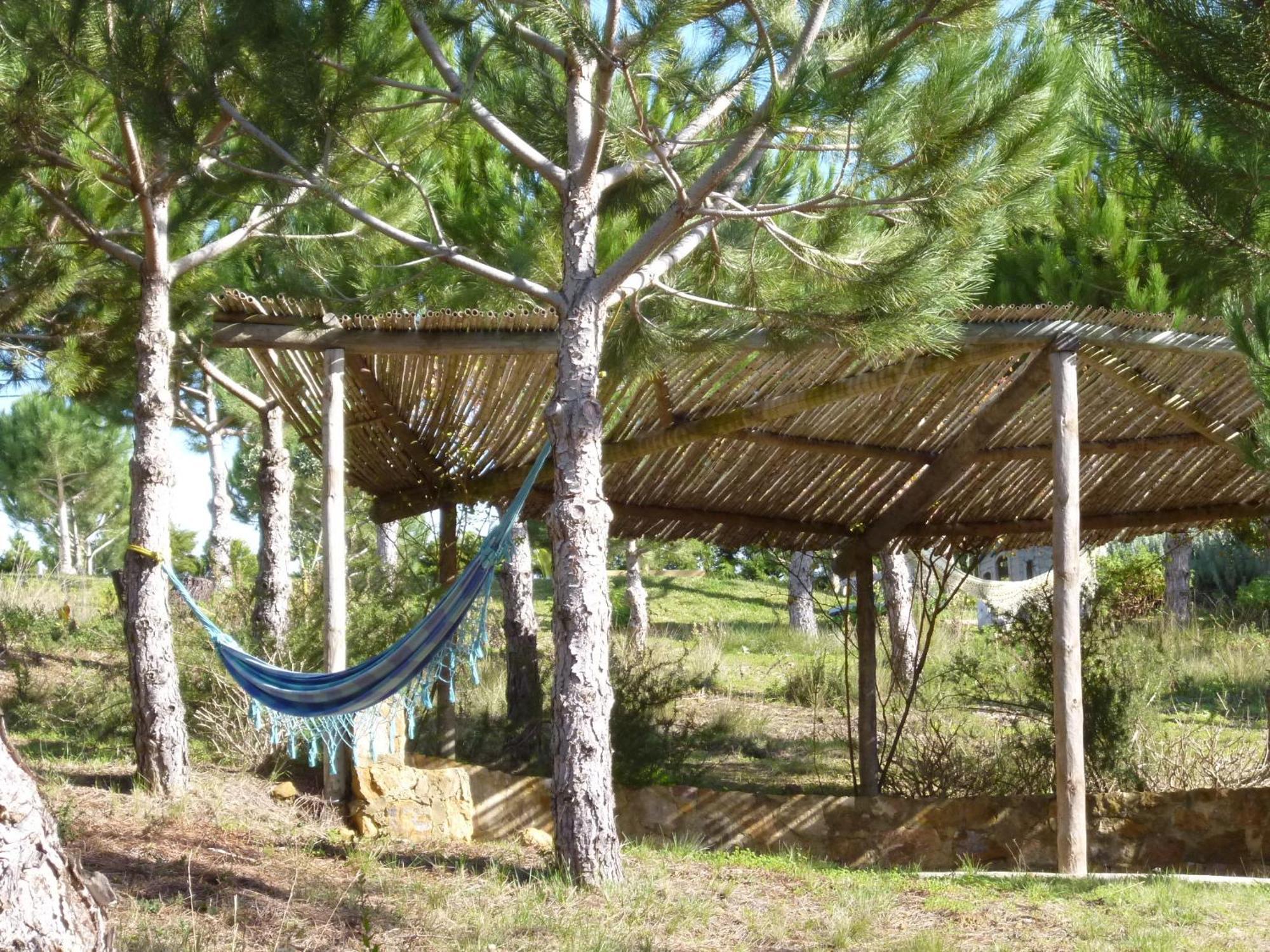 Quinta Raposeiros Lägenhet Santo Isidoro Exteriör bild