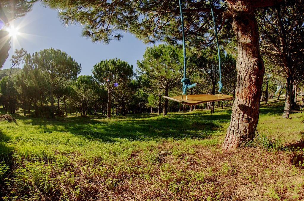 Quinta Raposeiros Lägenhet Santo Isidoro Exteriör bild
